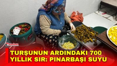 Bursa'nın Orhangazi ilçesine bağlı Gedelek Mahallesi, 600-700 yıllık anıt çınarların