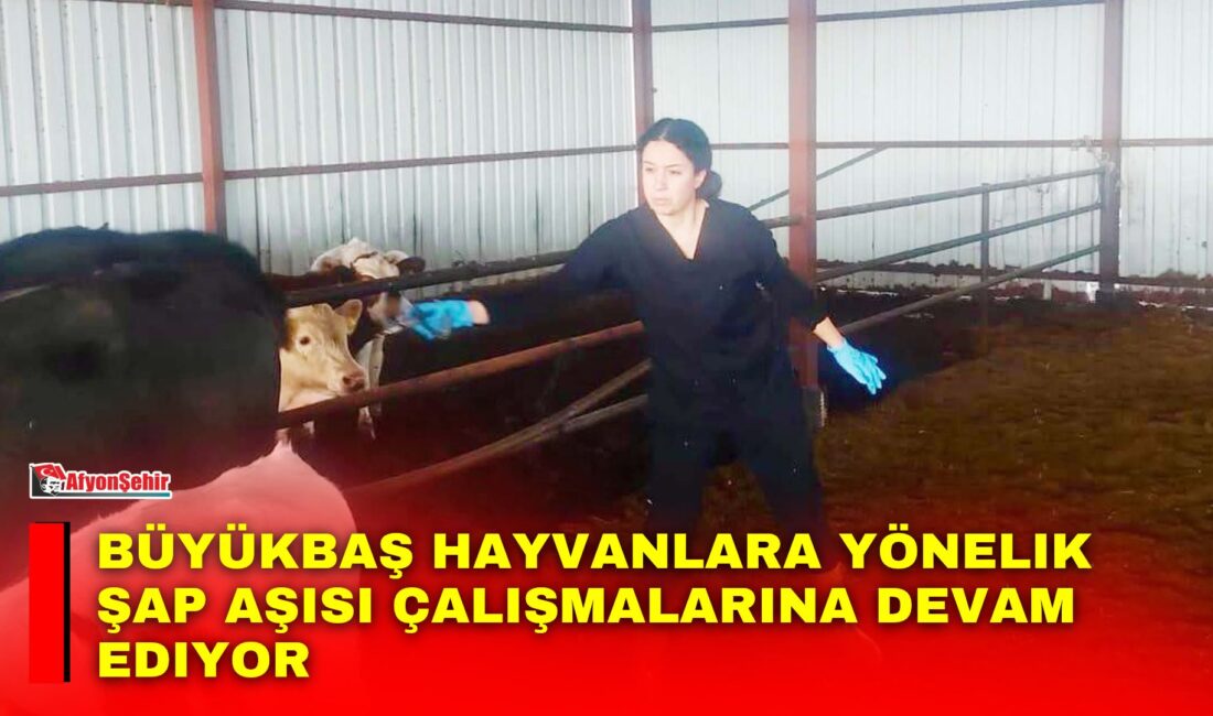 Afyon İl Tarım ve Orman Müdürlüğü, Hayvan hastalıkları ile mücadele