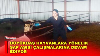 Afyon İl Tarım ve Orman Müdürlüğü, Hayvan hastalıkları ile mücadele
