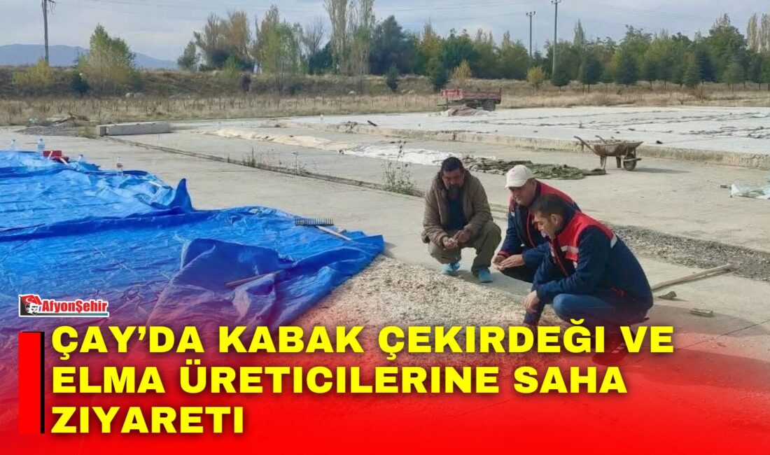 Afyonkarahisar’ın Çay ilçesinde çerezlik kabak çekirdeği ve elma üreticilerine yönelik