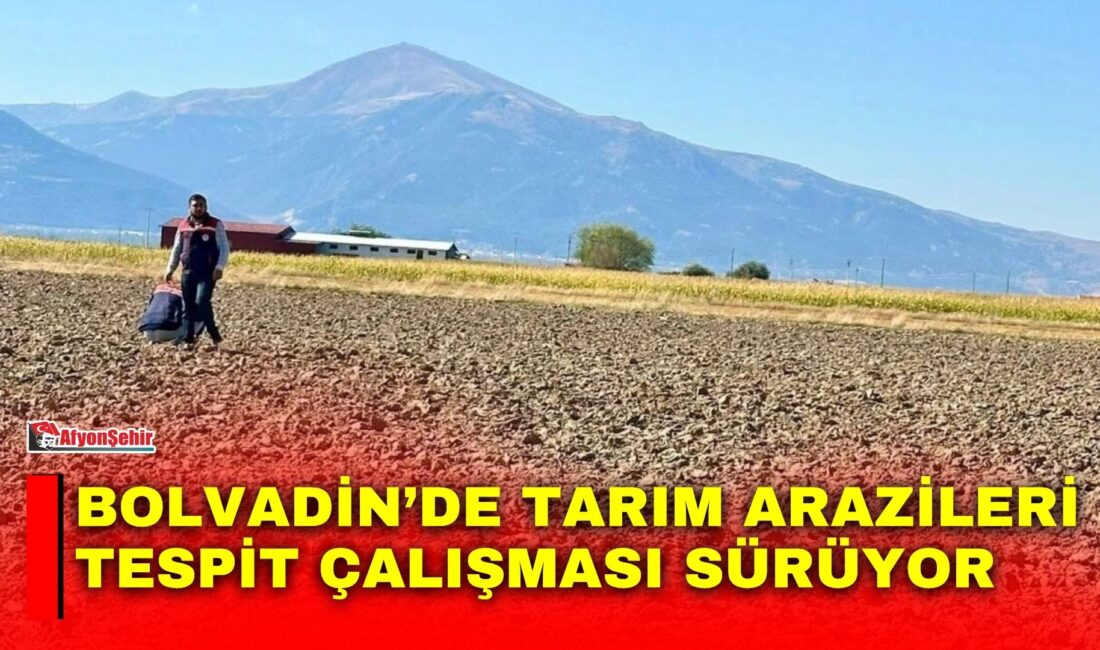 Afyonkarahisar’ın Bolvadin ilçesinde tarımsal üretim alanlarının mevcut durumunun belirlenmesi ve