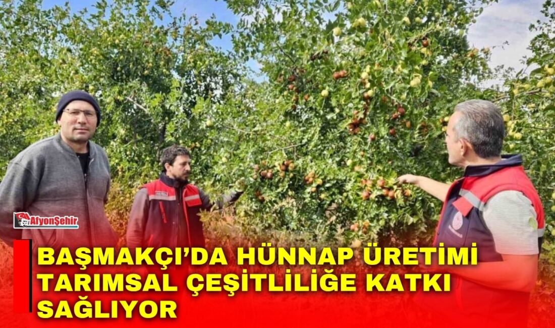Afyonkarahisar’ın Başmakçı ilçesinde alternatif tarım ürünlerinin yaygınlaştırılması amacıyla sürdürülen çalışmalar