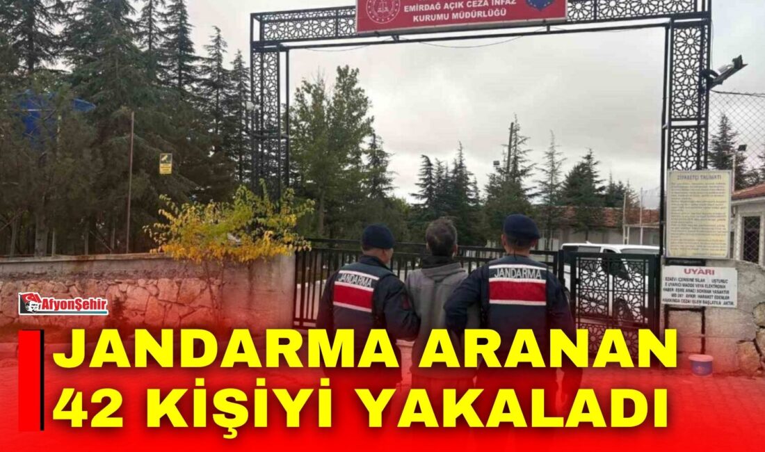 Afyonkarahisar’da jandarma tarafından son bir hafta içerisinde gerçekleştirilen denetimlerden çeşitli