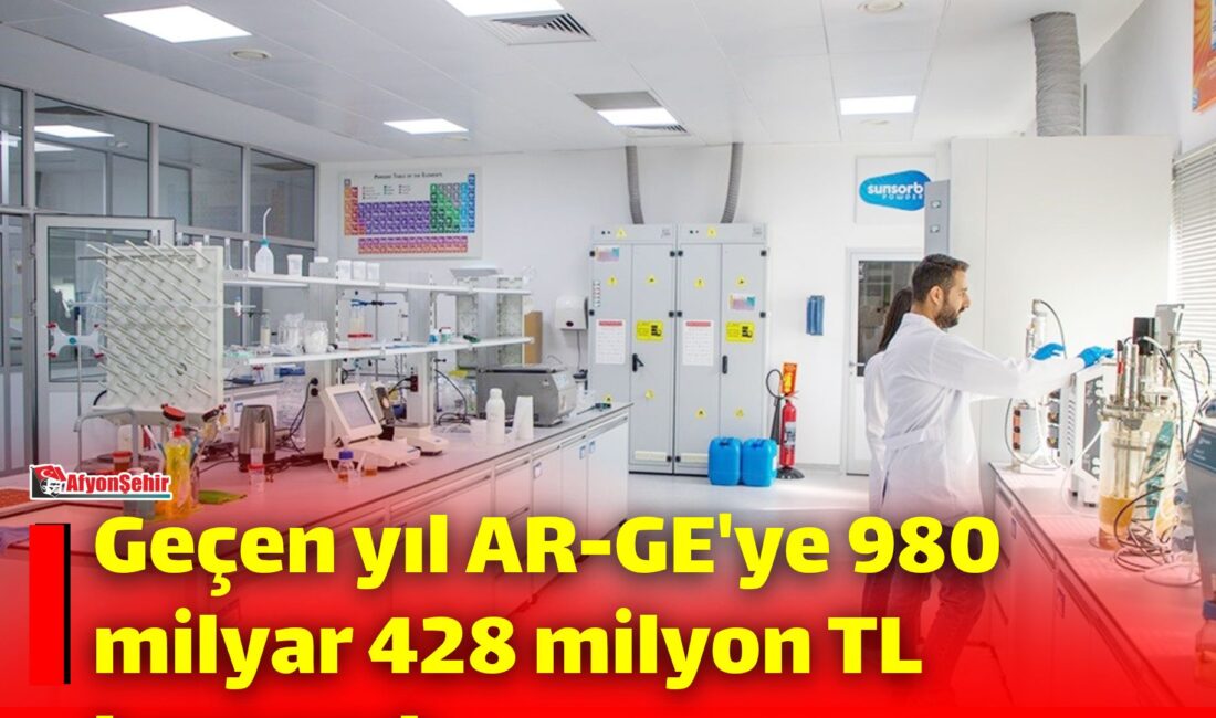 Türkiye İstatistik Kurumu (TÜİK), 2025 yılı Araştırma-Geliştirme Faaliyetleri Araştırması’nın sonuçlarına