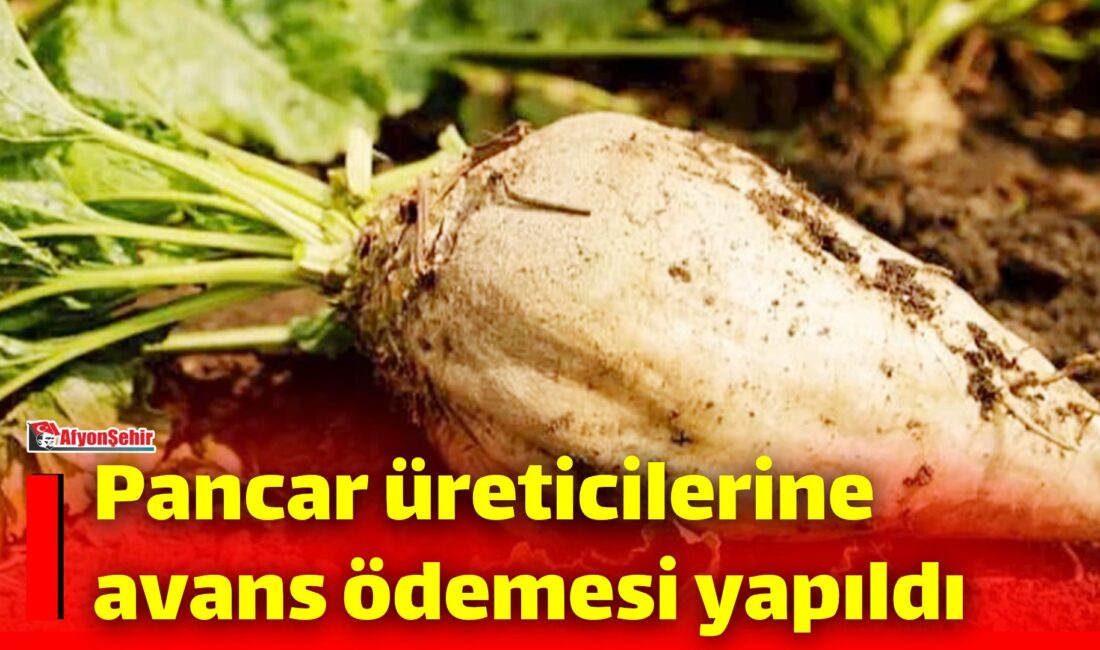 Tarım ve Orman Bakanı İbrahim Yumaklı, toplam 952 milyon lira