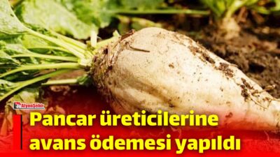 Tarım ve Orman Bakanı İbrahim Yumaklı, toplam 952 milyon lira