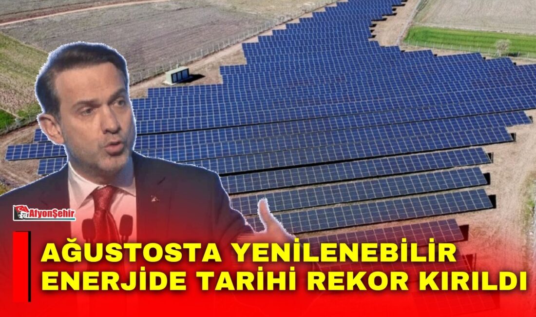 Türkiye’nin ağustos ayındaki elektrik üretiminde güneş ve rüzgârın toplam payı