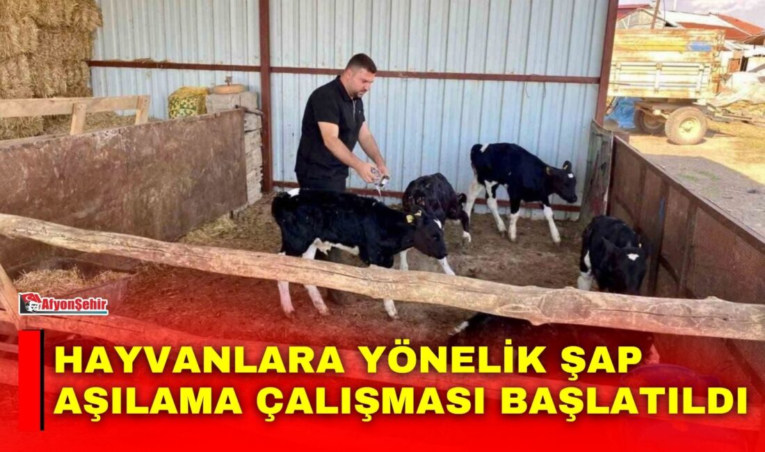 Afyonkarahisar’ın Dazkırı ilçesinde hayvan sağlığının korunması ve bulaşıcı hayvan hastalıklarının