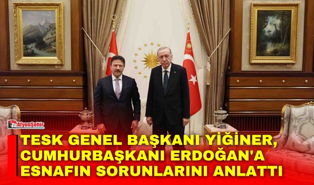 TESK Genel Başkanı Yiğiner, Cumhurbaşkanı Erdoğan’a esnafın sorunlarını anlattı Türkiye Esnaf ve Sanatkârları Konfederasyonu (TESK) Genel Başkanı Mehmet Yiğiner,