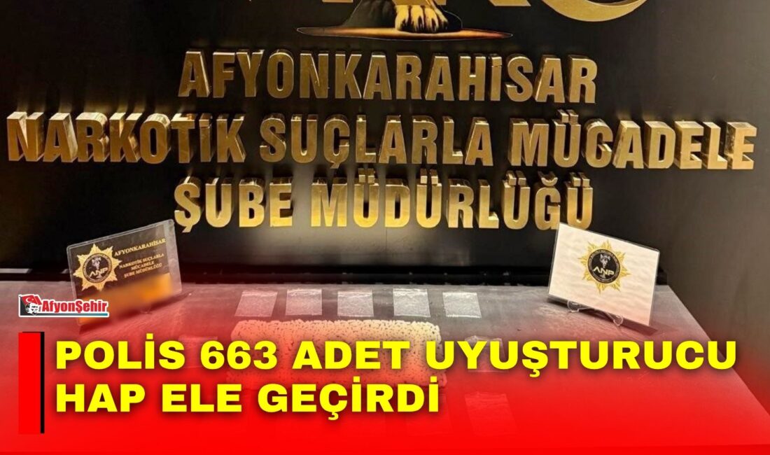 Afyonkarahisar’da polis tarafından durdurulan bir araçta yapılan aramada 663 adet