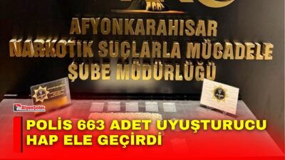 Afyonkarahisar’da polis tarafından durdurulan bir araçta yapılan aramada 663 adet