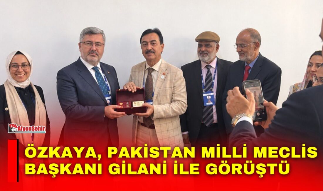 AK Parti Afyonkarahisar Milletvekili Ali Özkaya, 153. Parlamentolar Arası Birlik