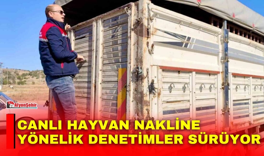 Afyonkarahisar’ın Dazkırı ilçesinde canlı hayvan nakli gerçekleştiren araçlara yönelik yol