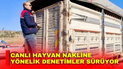 Afyonkarahisar’ın Dazkırı ilçesinde canlı hayvan nakli gerçekleştiren araçlara yönelik yol