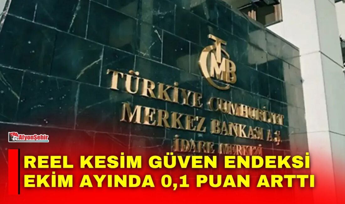 TCMB İktisadi Yönelim İstatistikleri ve Reel Kesim Güven Endeksi (RKGE)