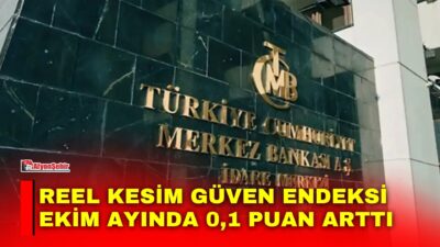 TCMB İktisadi Yönelim İstatistikleri ve Reel Kesim Güven Endeksi (RKGE)