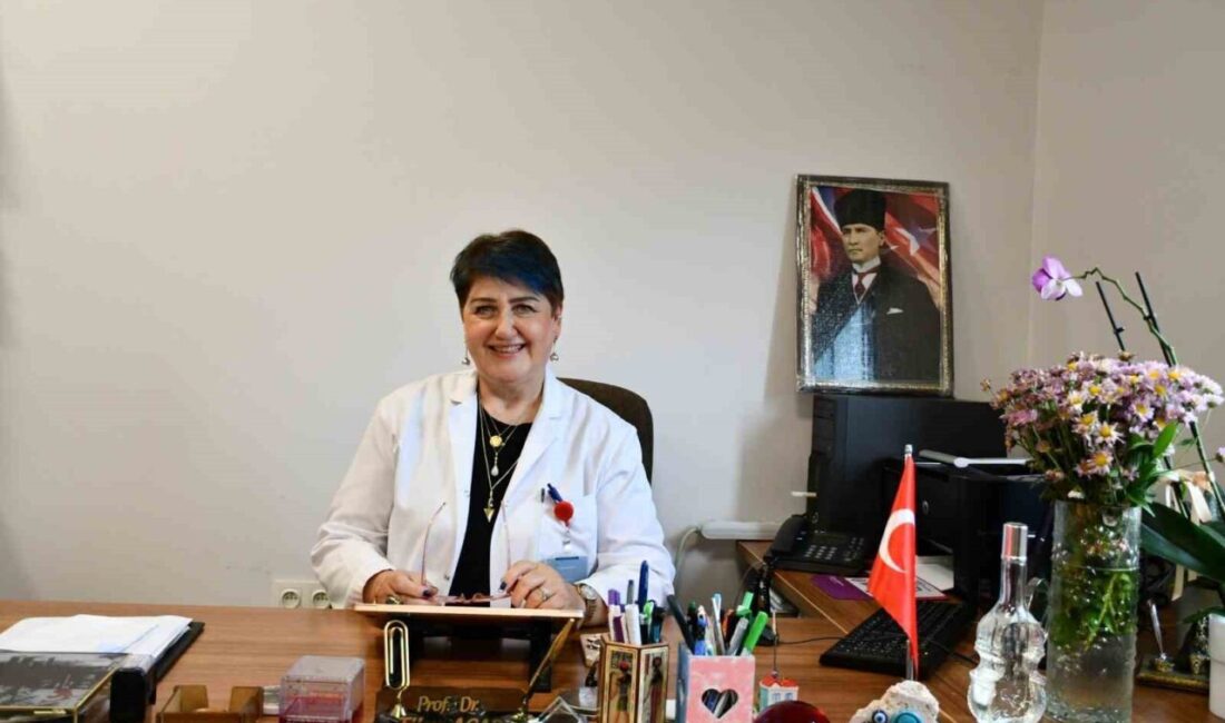 Düzce Üniversitesi Tıp Fakültesi Hastanesi Aile Hekimliği Anabilim Dalı Başkanı