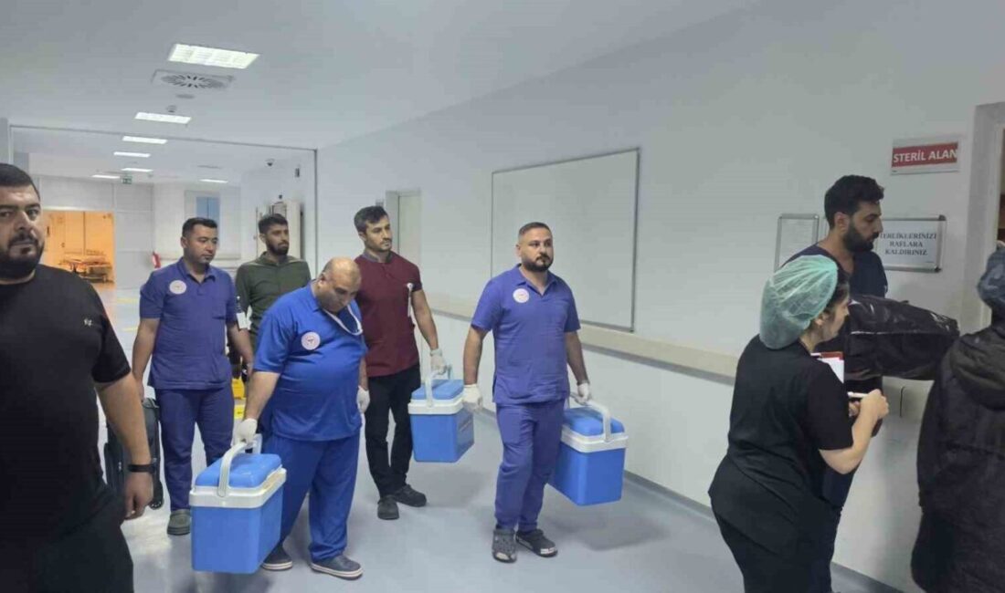Şanlıurfa’da elektrik akımına kapılarak hayatını kaybeden 2 yaşındaki çocuğun organları