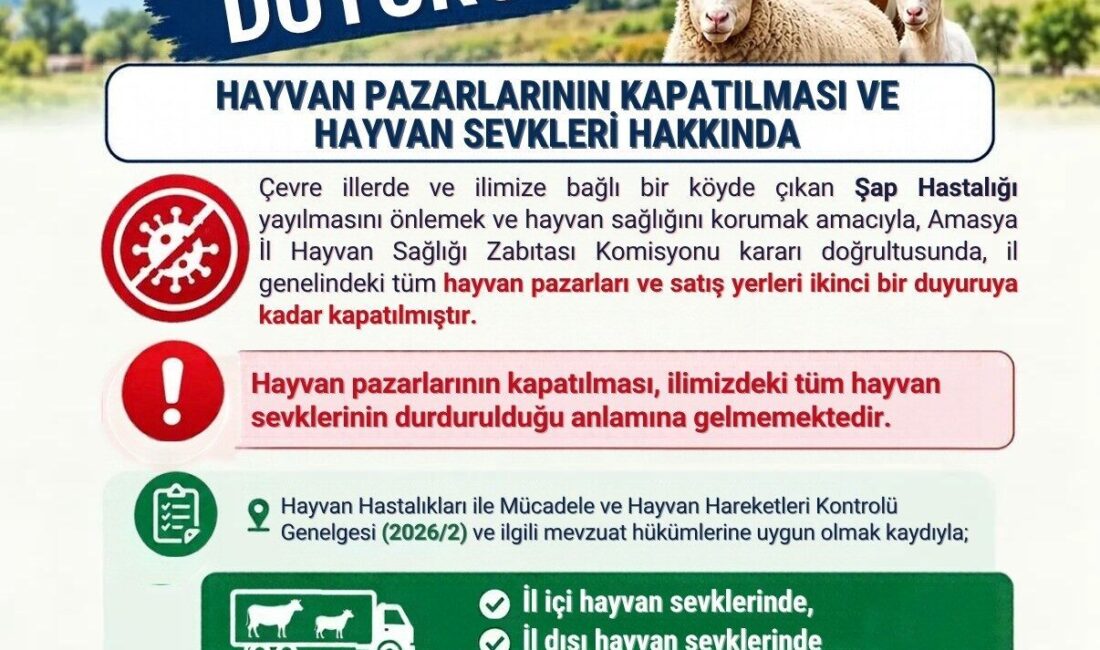 Amasya’da çevre illerde ve merkeze bağlı bir köyde görülen şap