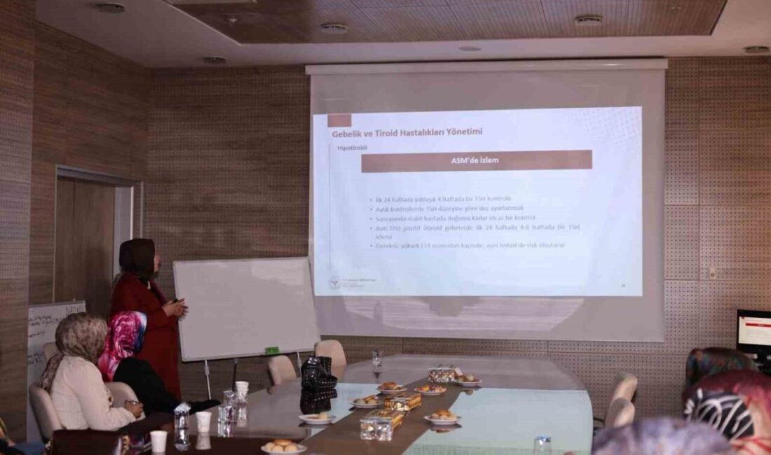 Bayburt İl Sağlık Müdürlüğünde görev yapan aile sağlığı çalışanlarına, gebelik,