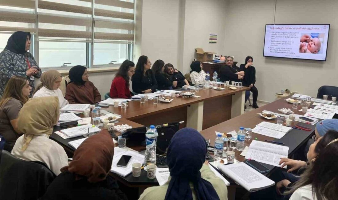Bayburt Devlet Hastanesi (BDH) personeline yönelik hizmet içi eğitim düzenlendi.