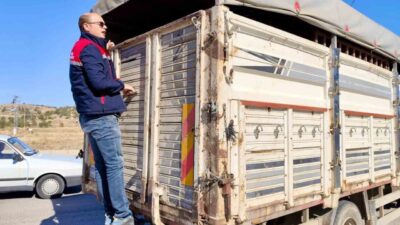Afyonkarahisar’ın Dazkırı ilçesinde canlı hayvan nakli gerçekleştiren araçlara yönelik yol