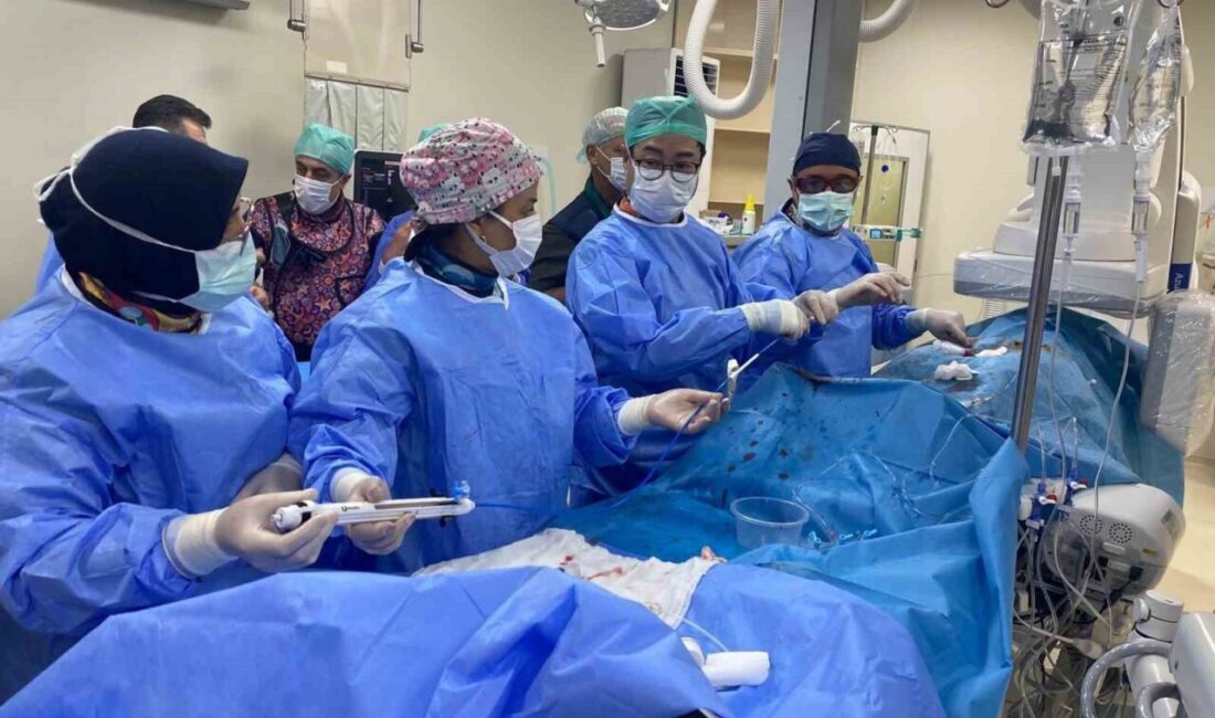 Gaziantep Üniversitesi Çocuk Hastanesi Çocuk Kardiyoloji Kliniği, çocuk kalp hastalıklarının