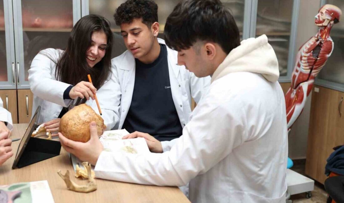 Alanya Alaaddin Keykubat Üniversitesi (ALKÜ) Tıp Fakültesi Anatomi Anabilim Dalı