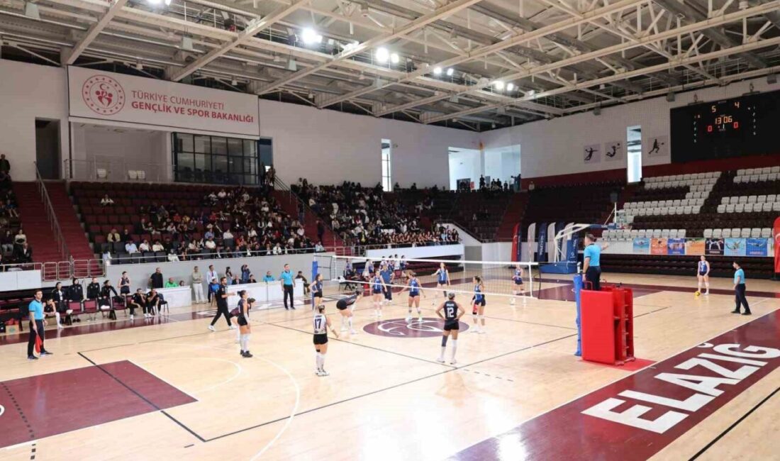 Elazığ’ın Uzman Posta Kadınlar Voleybol 2. Lig’de mücadele eden ekipleri