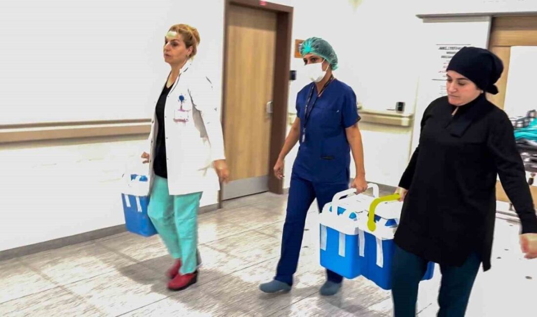 Erzurum Şehir Hastanesi’nde beyin ölümü gerçekleşen bir hastanın bağışlanan 3