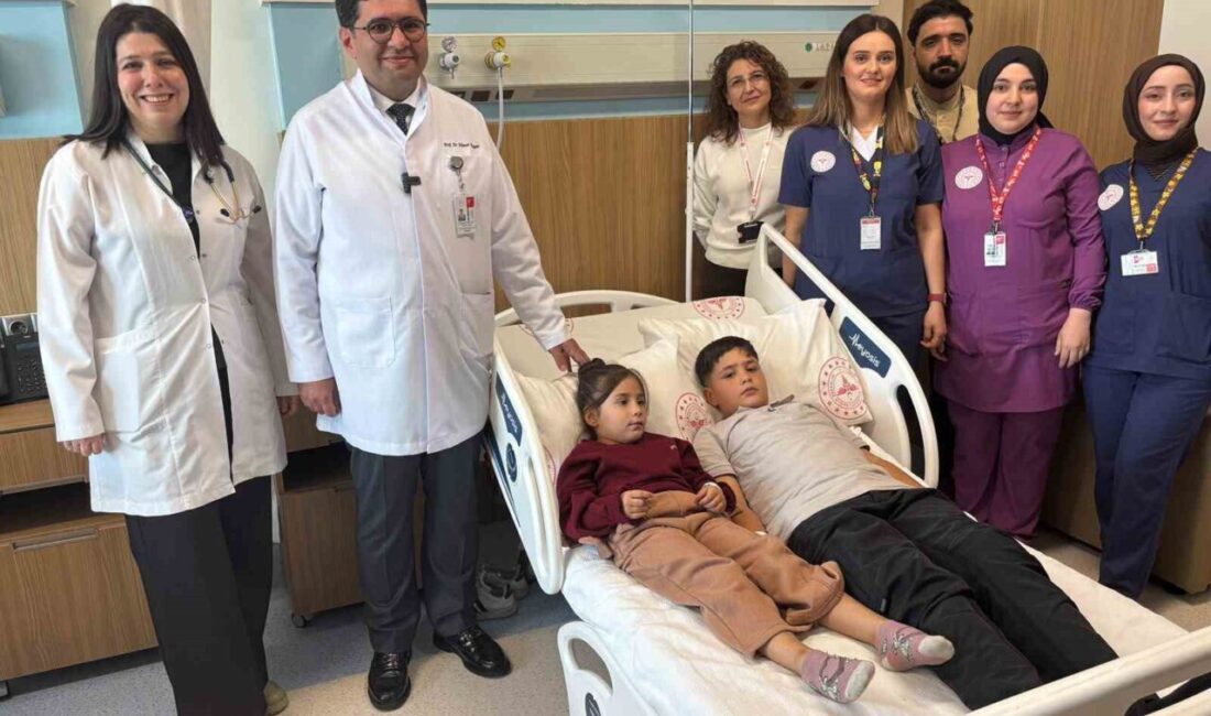 Kalplerinde aynı bölgedeki ve aynı büyüklükte delik tespit edilen 12