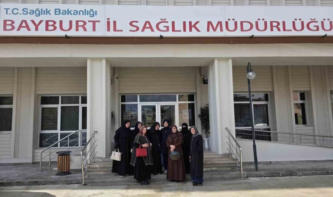 Bayburt İl Sağlık Müdürlüğü koordinesinde Sancaktepe köyünde yürütülen saha ve