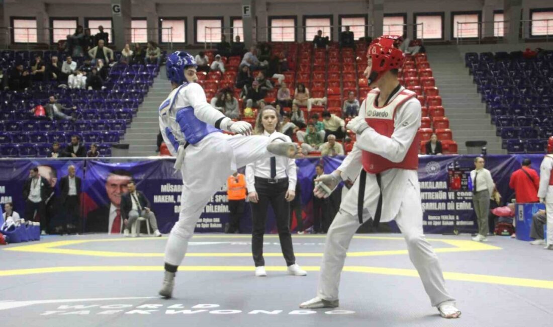 Türkiye Taekwondo Federasyonu faaliyet programında yer alan Türkiye Ümitler Taekwondo