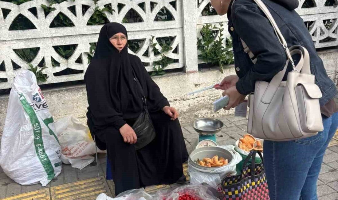 Sinop’un Gerze ilçesinde organ ve doku bağışına yönelik farkındalık çalışmaları