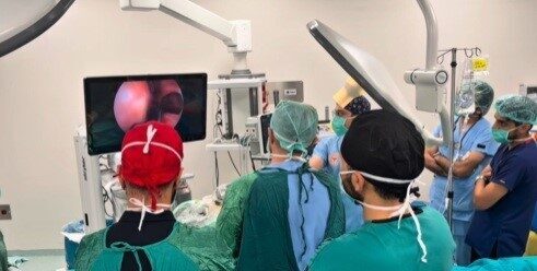 Rinoloji alanındaki güncel cerrahi yaklaşımlar Erzincan’da ele alındı Erzincan Mengücek Gazi Eğitim ve Araştırma Hastanesi ev sahipliğinde Rinoloji