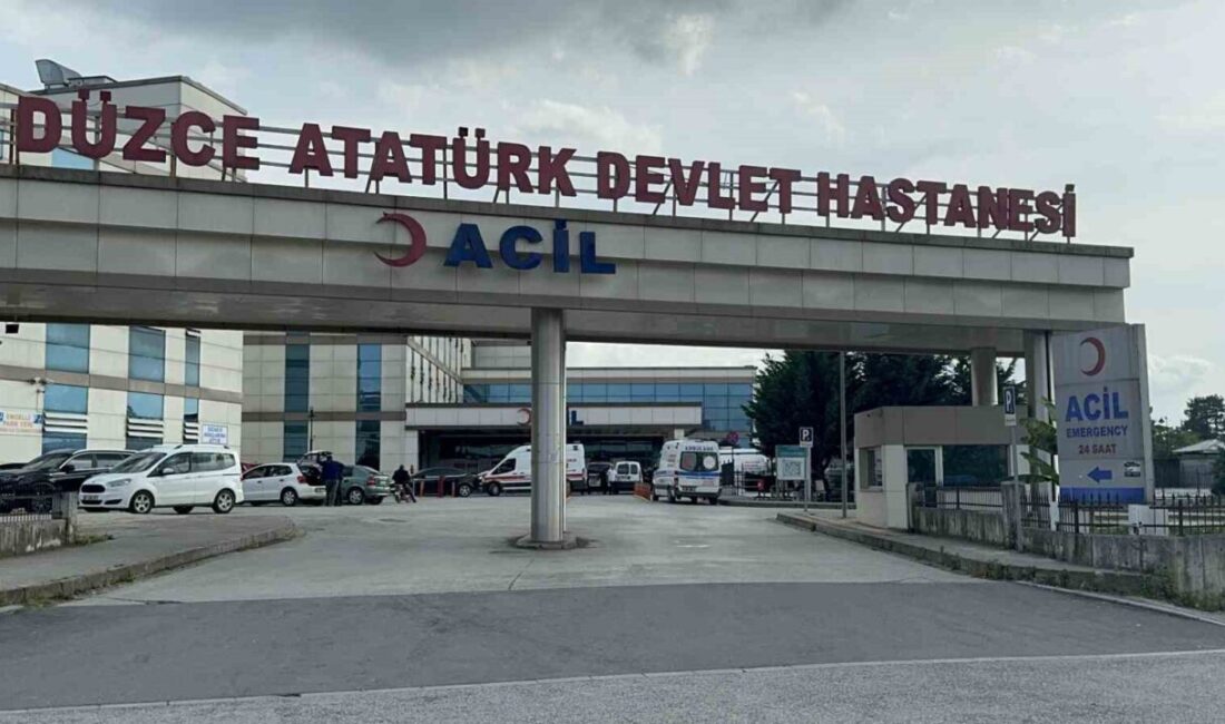 AK Parti Düzce Milletvekili Ercan Öztürk, 131. Dönem Devlet Hizmet