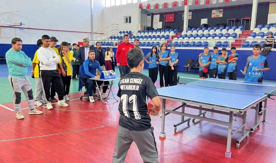Tomarza’da Cumhuriyet Kupası Masa Tenisi ve Dart Turnuvası yapıldı. 29