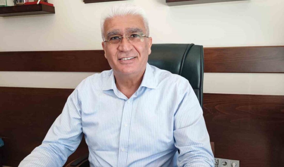 Beyin, Sinir ve Omurilik Cerrahisi Prof. Dr. Orhan Şen, inme